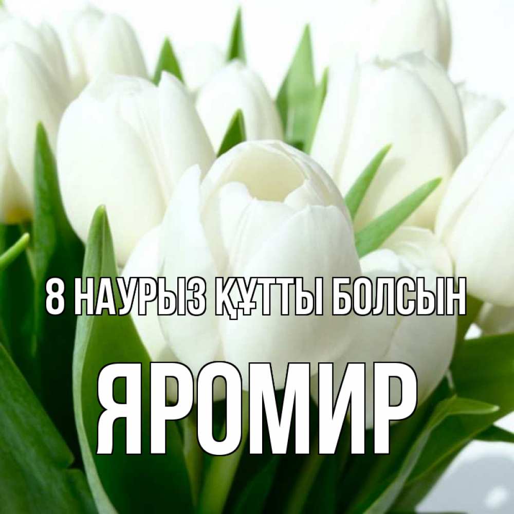 Күн сайын ашық хат с именем, Яромир 8 наурыз құтты болсын цветы Онлайн тегін жүктеп алу тілектері бар керемет карта 