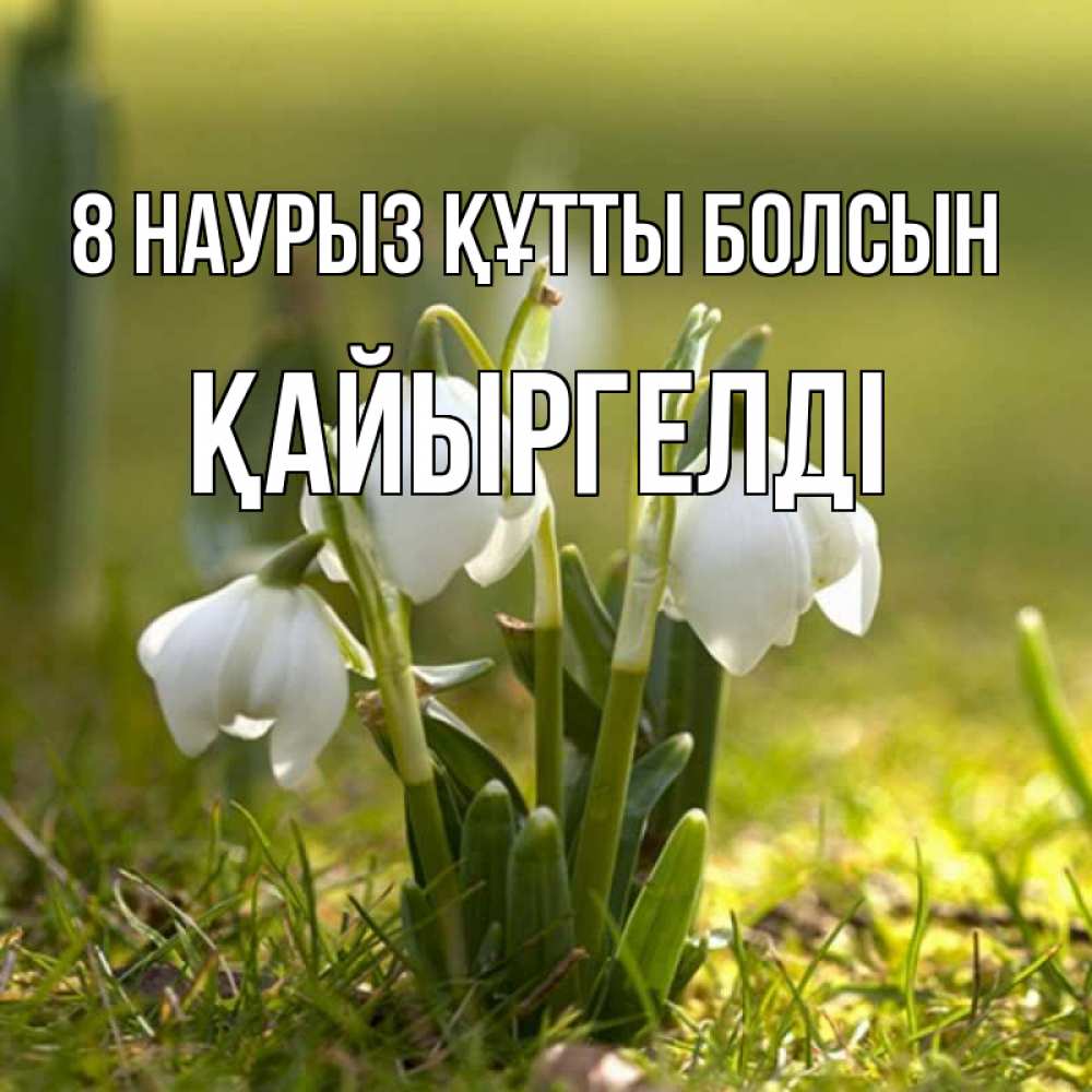 Күн сайын ашық хат с именем, Қайыргелді 8 наурыз құтты болсын ранние цветы 2 Онлайн тегін жүктеп алу тілектері бар керемет карта 