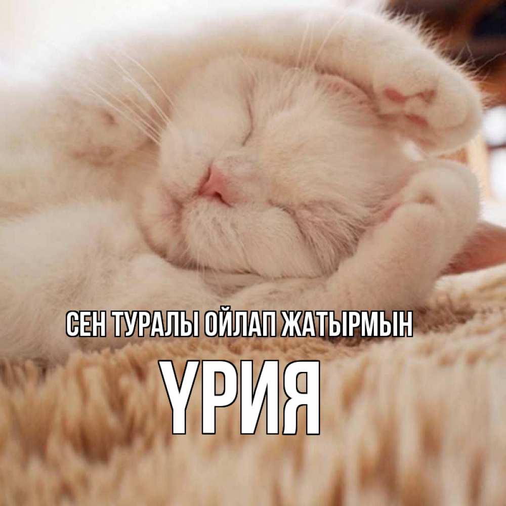 Күн сайын ашық хат с именем, ҮРИЯ Сен туралы ойлап жатырмын для любимой девушки милота Онлайн тегін жүктеп алу тілектері бар керемет карта 