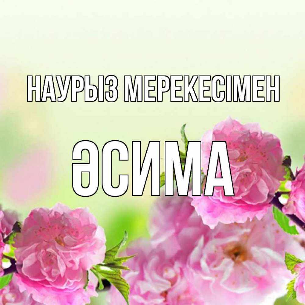 Күн сайын ашық хат с именем, ӘСИМА Наурыз мерекесімен цветы Онлайн тегін жүктеп алу тілектері бар керемет карта 