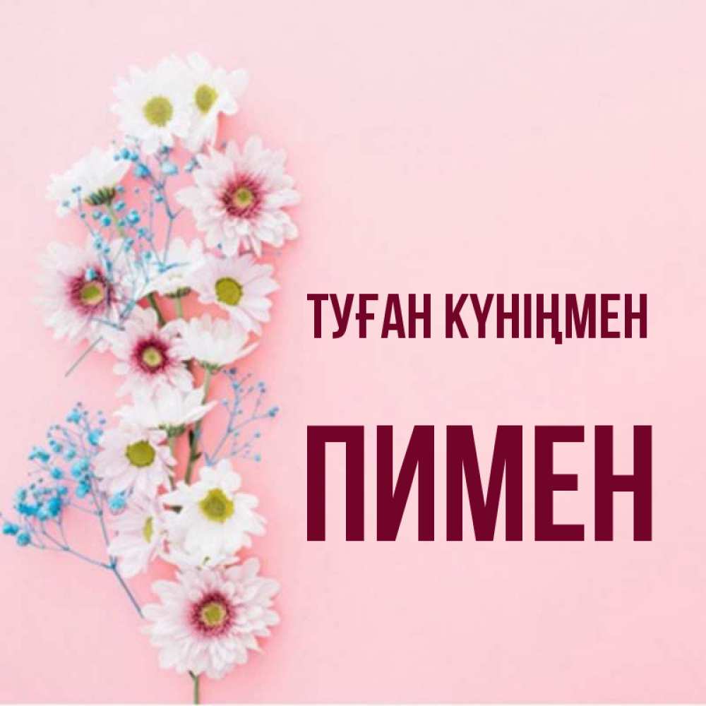 Күн сайын ашық хат с именем, Пимен Туған күніңмен Родная моя с днем рождения тебя картинка с цветами белыми и голубыми Онлайн тегін жүктеп алу тілектері бар керемет карта 