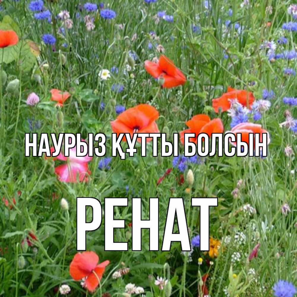 Күн сайын ашық хат с именем, РЕНАТ Наурыз құтты болсын наурыз  4 Онлайн тегін жүктеп алу тілектері бар керемет карта 