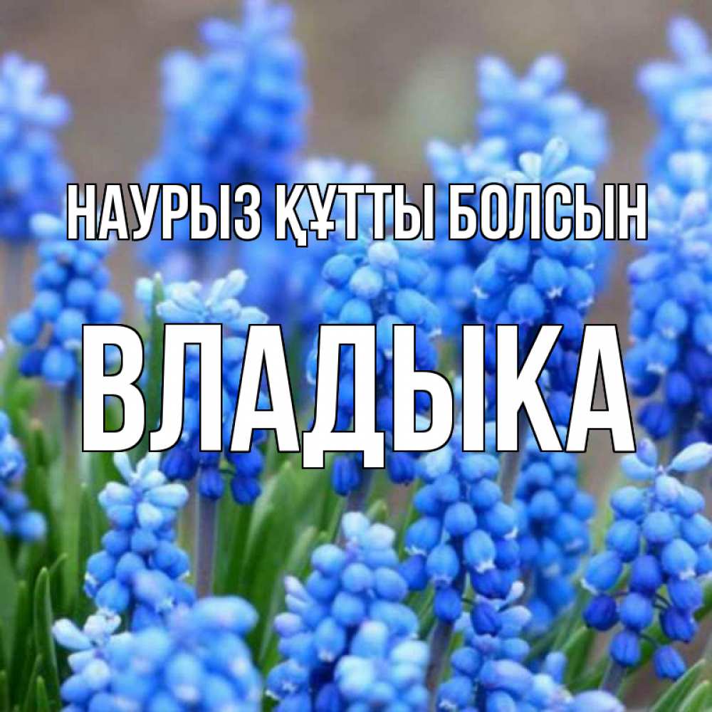 Күн сайын ашық хат с именем, Владыка Наурыз құтты болсын Поздравительная открытка для женщин с цветами на праздничную дату Онлайн тегін жүктеп алу тілектері бар керемет карта 