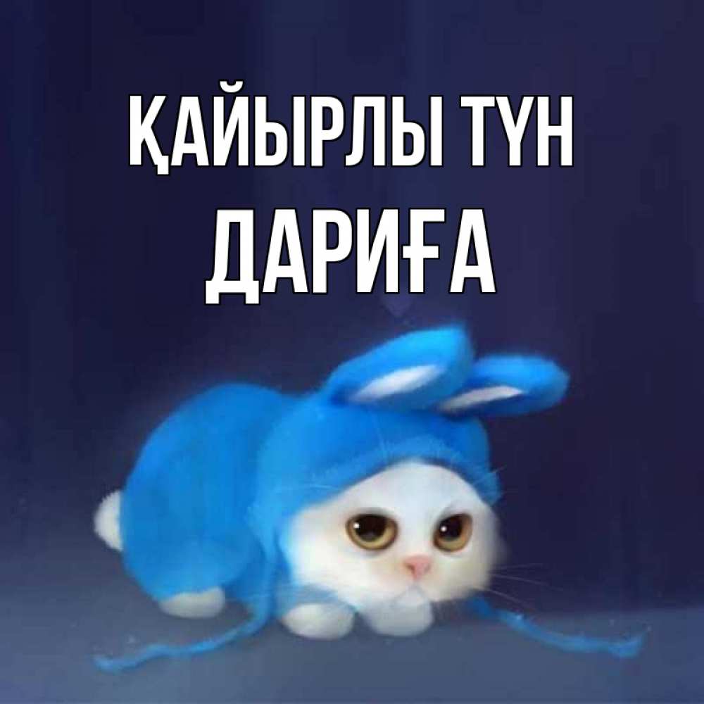 Күн сайын ашық хат с именем, ДАРИҒА Қайырлы түн кот в голубом костюме кролика с ушками Онлайн тегін жүктеп алу тілектері бар керемет карта 