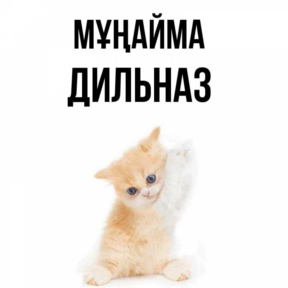Күн сайын ашық хат с именем, ДИЛЬНАЗ Мұңайма просящий кот Онлайн тегін жүктеп алу тілектері бар керемет карта 