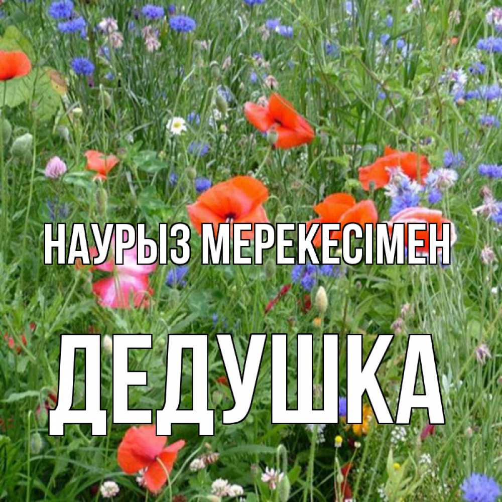 Күн сайын ашық хат с именем, Дедушка Наурыз мерекесімен праздник весны наурыз супер открытка Онлайн тегін жүктеп алу тілектері бар керемет карта 