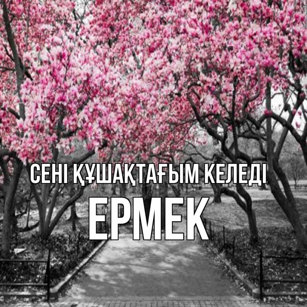 Күн сайын ашық хат с именем, Ермек сені құшақтағым келеді обработанное фото Онлайн тегін жүктеп алу тілектері бар керемет карта 