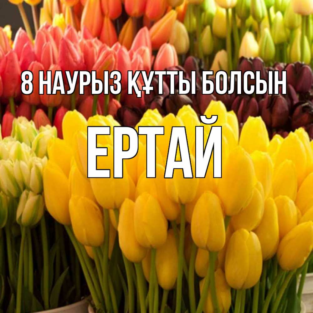 Күн сайын ашық хат с именем, Ертай 8 наурыз құтты болсын цветы Онлайн тегін жүктеп алу тілектері бар керемет карта 