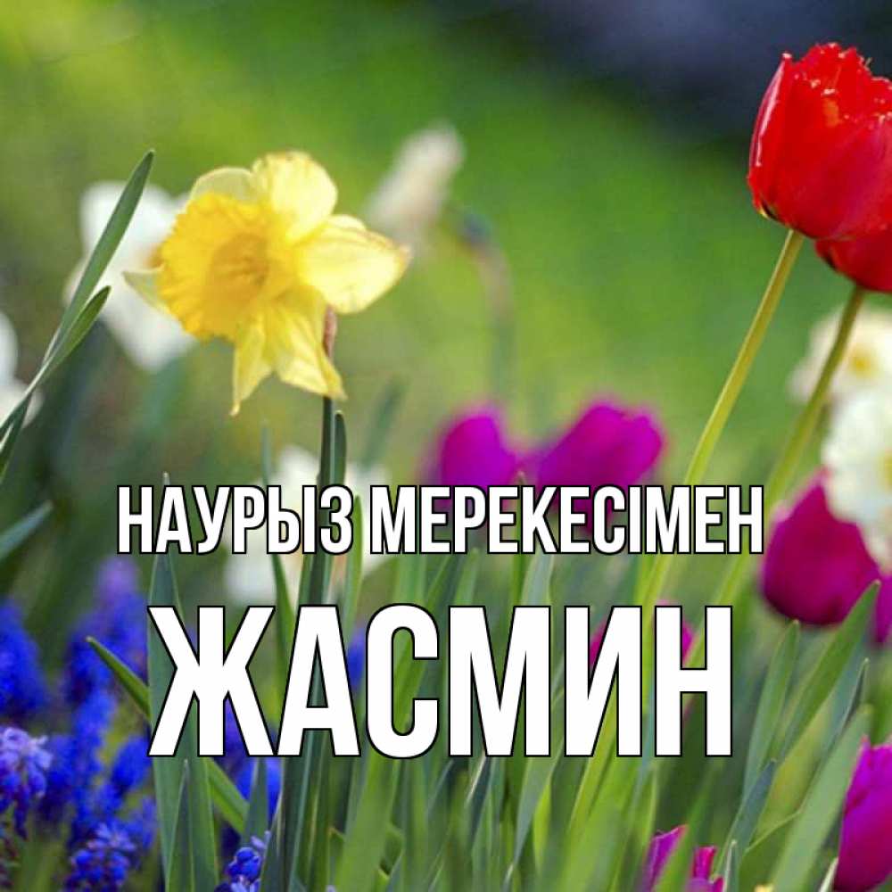 Күн сайын ашық хат с именем, Жасмин Наурыз мерекесімен праздник весны наурыз 3 Онлайн тегін жүктеп алу тілектері бар керемет карта 