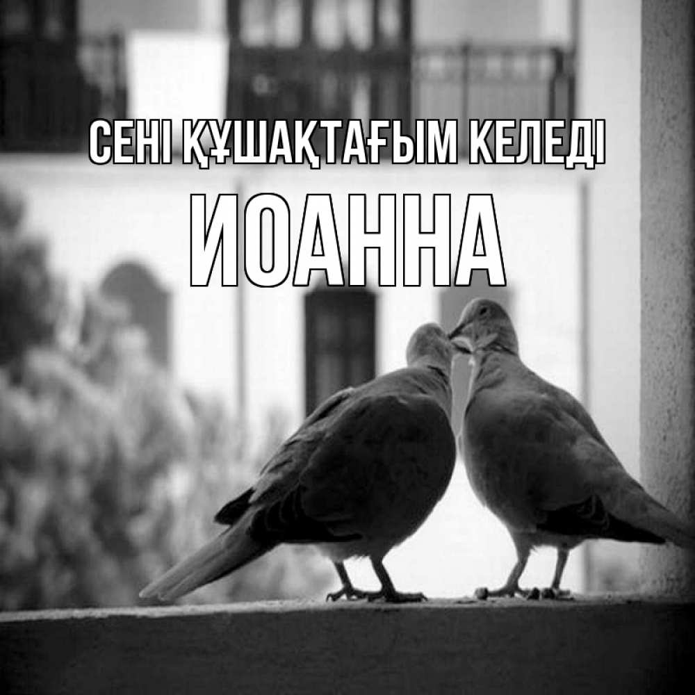 Күн сайын ашық хат с именем, Иоанна сені құшақтағым келеді птицы на подоконнике Онлайн тегін жүктеп алу тілектері бар керемет карта 