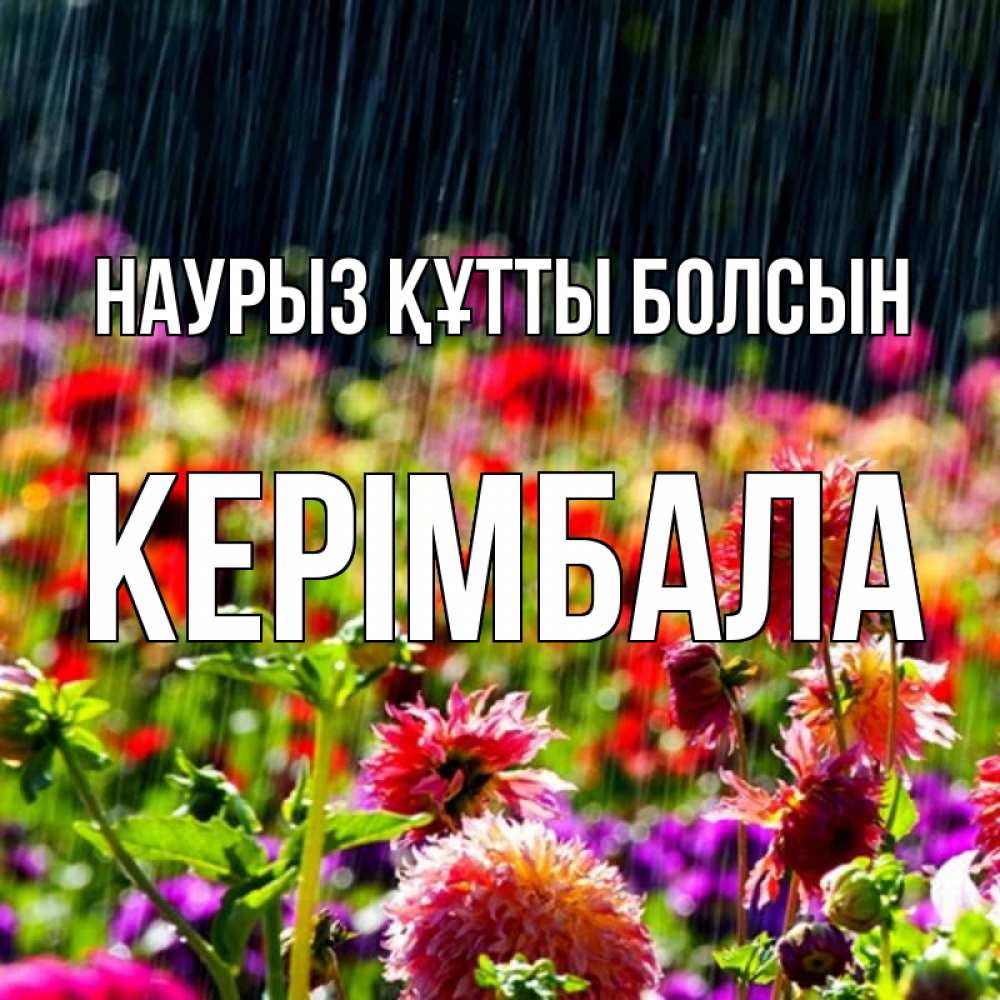 Күн сайын ашық хат с именем, КЕРІМБАЛА Наурыз құтты болсын цветы под дождиком к наурызу Онлайн тегін жүктеп алу тілектері бар керемет карта 