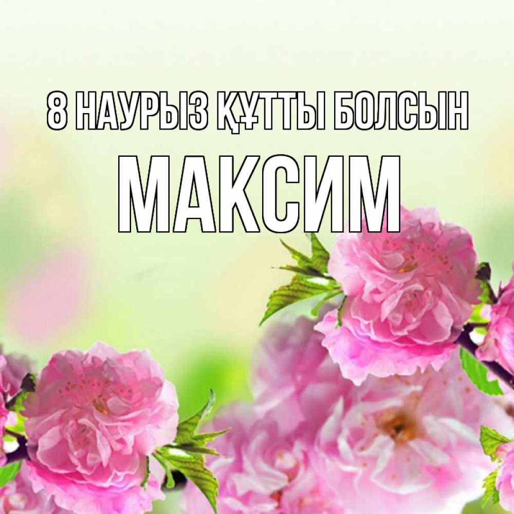 Күн сайын ашық хат с именем, Максим 8 наурыз құтты болсын цветы Онлайн тегін жүктеп алу тілектері бар керемет карта 