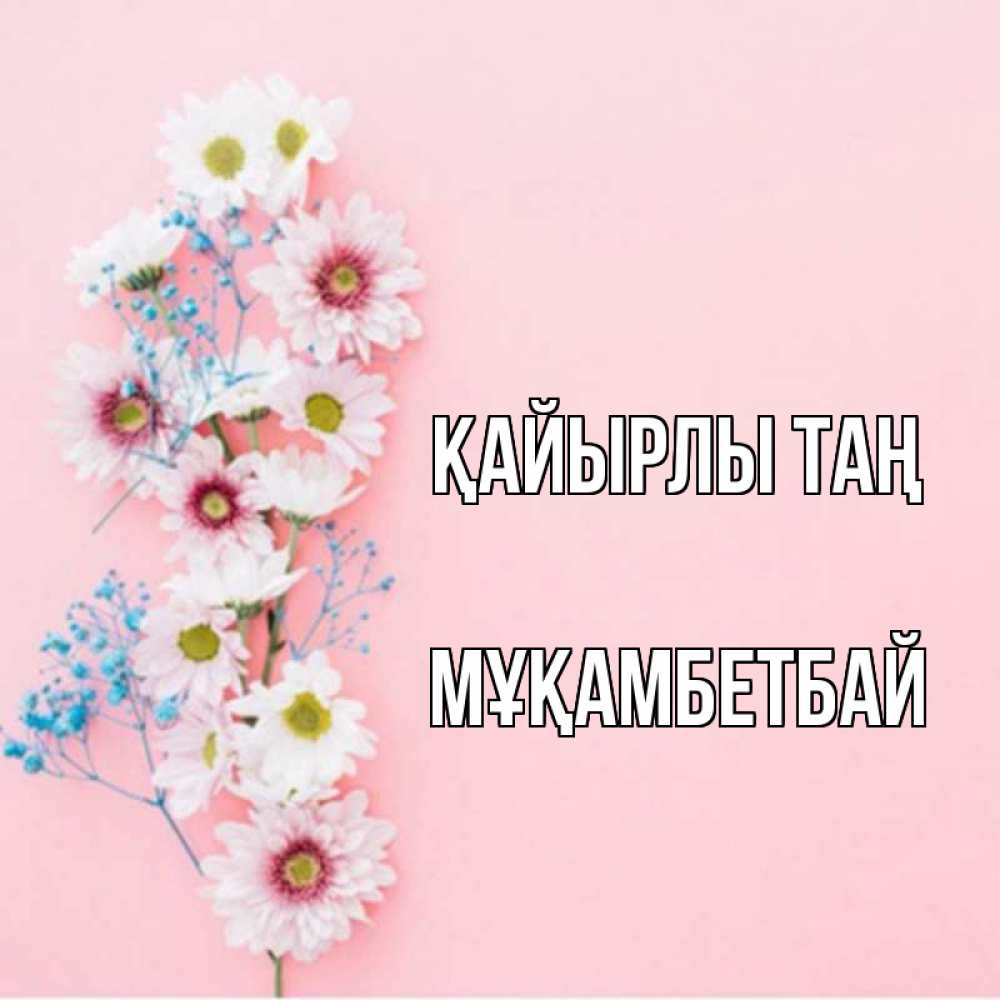 Күн сайын ашық хат с именем, Мұқамбетбай Қайырлы таң цветы с подписью Онлайн тегін жүктеп алу тілектері бар керемет карта 