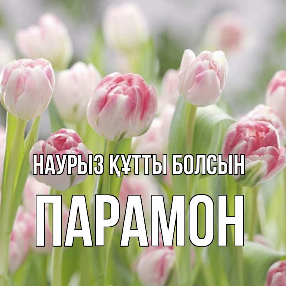 Күн сайын ашық хат с именем, Парамон Наурыз құтты болсын цветы Онлайн тегін жүктеп алу тілектері бар керемет карта 
