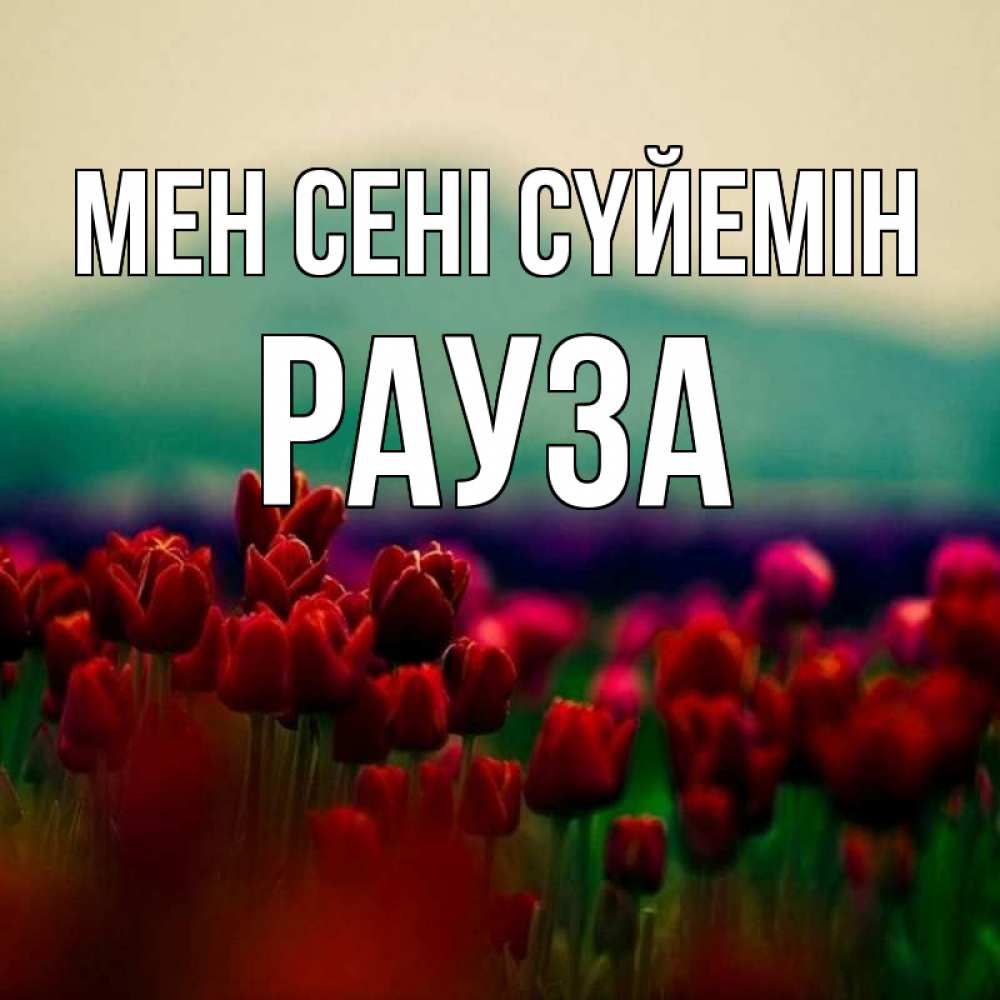 Күн сайын ашық хат с именем, РАУЗА Мен сені сүйемін тюльпаны 4 Онлайн тегін жүктеп алу тілектері бар керемет карта 