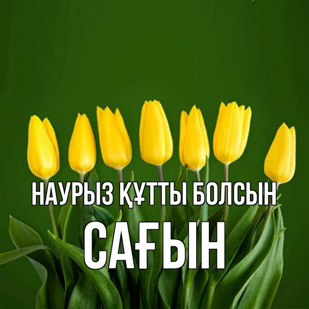 Күн сайын ашық хат с именем, САҒЫН Наурыз құтты болсын желтого цвета 3 Онлайн тегін жүктеп алу тілектері бар керемет карта 