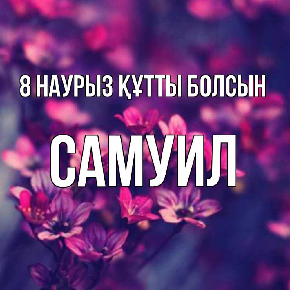 Күн сайын ашық хат с именем, Самуил 8 наурыз құтты болсын небольшие цветы 1 Онлайн тегін жүктеп алу тілектері бар керемет карта 