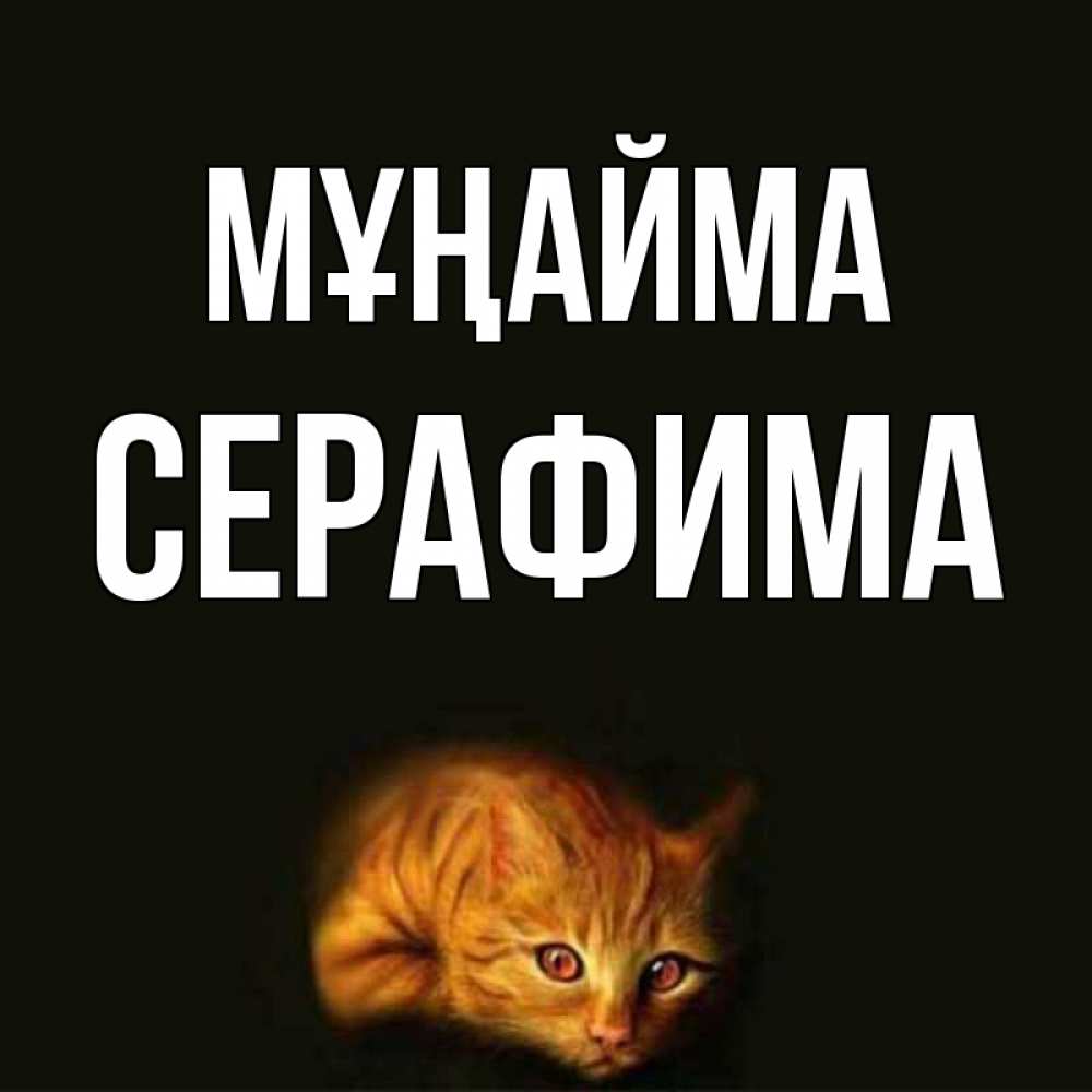 Күн сайын ашық хат с именем, Серафима Мұңайма лежащий кот в темноте Онлайн тегін жүктеп алу тілектері бар керемет карта 
