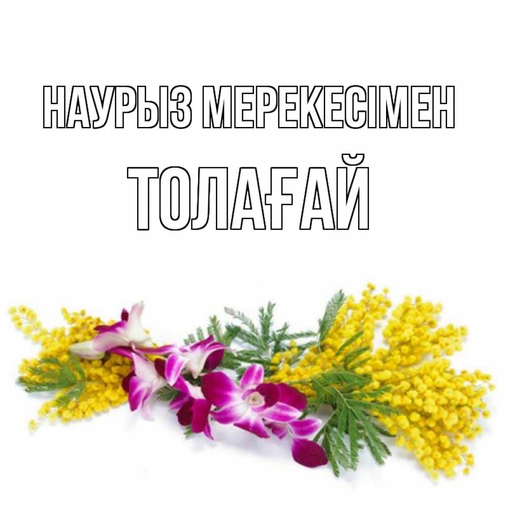 Күн сайын ашық хат с именем, ТОЛАҒАЙ Наурыз мерекесімен открытка на международный женский день с цветами  1 Онлайн тегін жүктеп алу тілектері бар керемет карта 