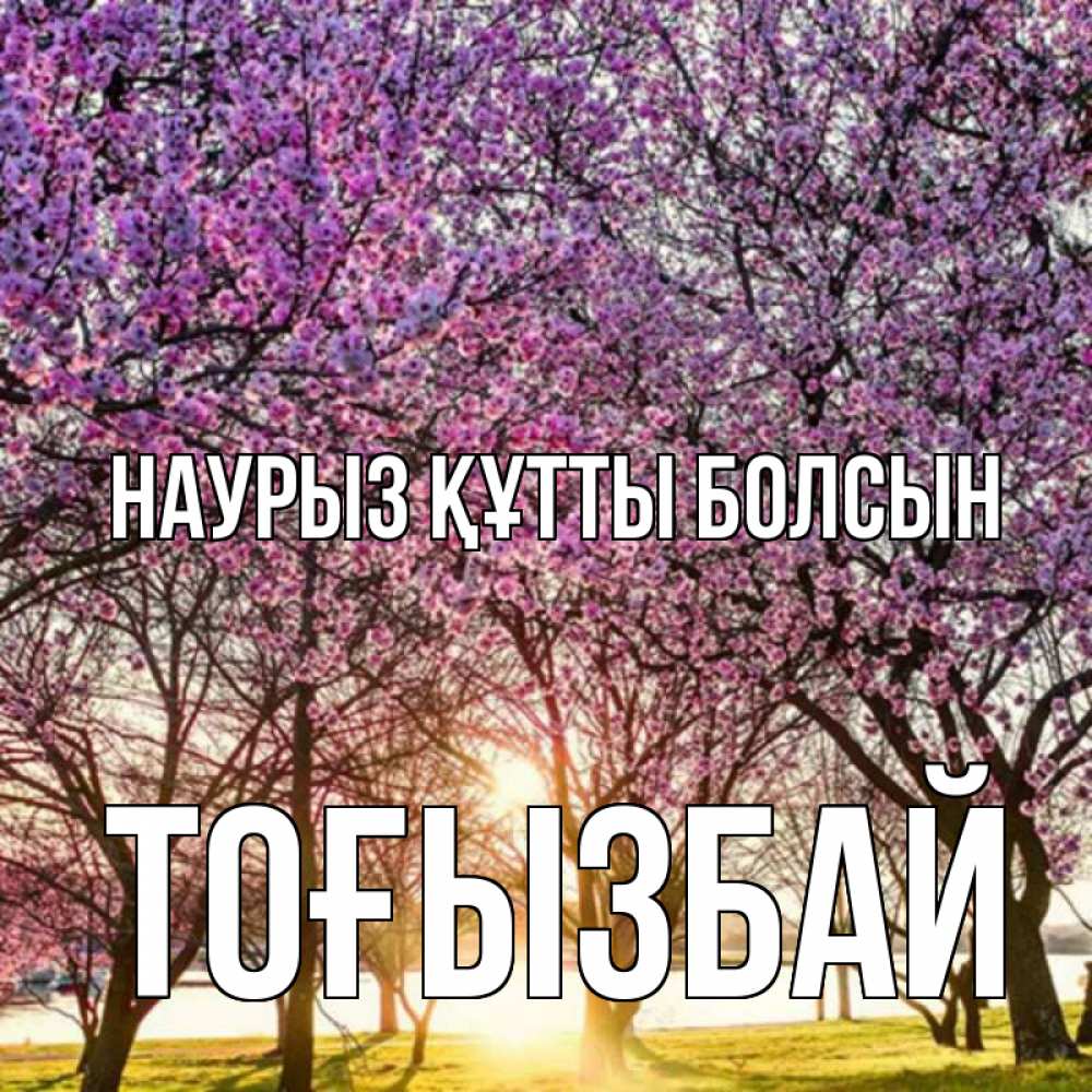 Күн сайын ашық хат с именем, ТОҒЫЗБАЙ Наурыз құтты болсын наурыз Онлайн тегін жүктеп алу тілектері бар керемет карта 