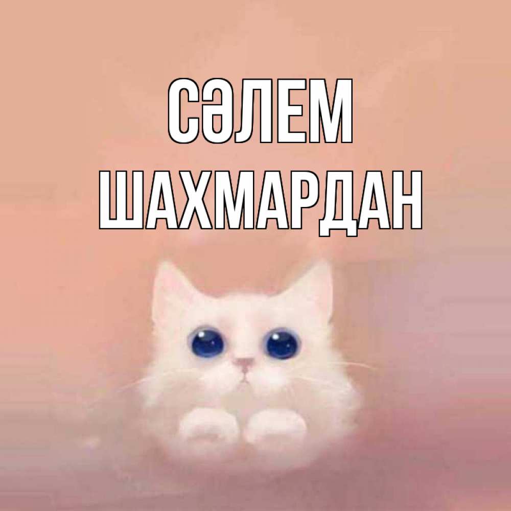 Күн сайын ашық хат с именем, ШАХМАРДАН Сәлем котик белый в полете Онлайн тегін жүктеп алу тілектері бар керемет карта 