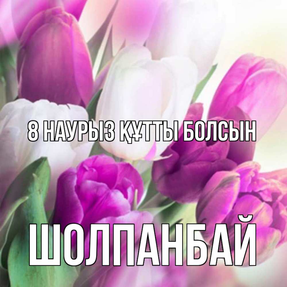 Күн сайын ашық хат с именем, ШОЛПАНБАЙ 8 наурыз құтты болсын весна 1 Онлайн тегін жүктеп алу тілектері бар керемет карта 