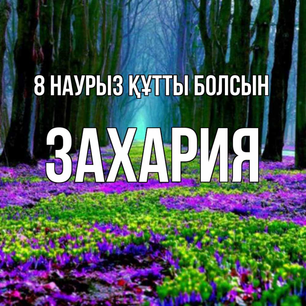 Күн сайын ашық хат с именем, Захария 8 наурыз құтты болсын фиолетовые цветы в лесу 1 Онлайн тегін жүктеп алу тілектері бар керемет карта 
