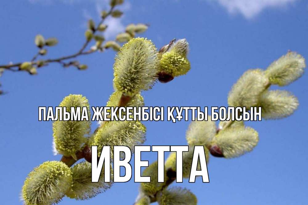 Күн сайын ашық хат с именем, Иветта Пальма жексенбісі құтты болсын верба Онлайн тегін жүктеп алу тілектері бар керемет карта 