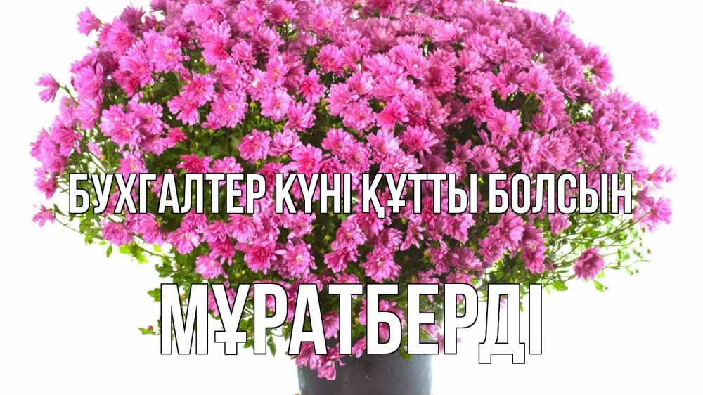 Күн сайын ашық хат с именем, Мұратберді бухгалтер күні құтты болсын с днем бухгалтера Онлайн тегін жүктеп алу тілектері бар керемет карта 