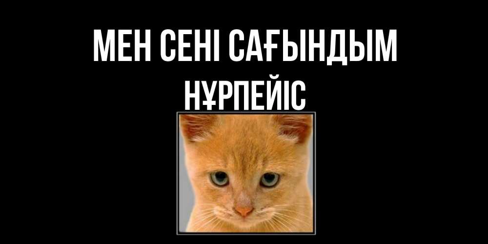 Күн сайын ашық хат с именем, НҰРПЕЙІС Мен сені сағындым открытки рыжий котенок скучает по тебе Онлайн тегін жүктеп алу тілектері бар керемет карта 