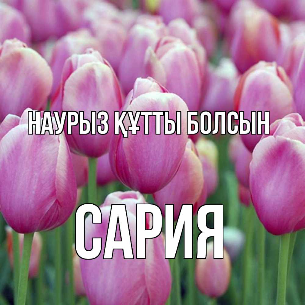 Күн сайын ашық хат с именем, САРИЯ Наурыз құтты болсын на наурыз  день 3 Онлайн тегін жүктеп алу тілектері бар керемет карта 