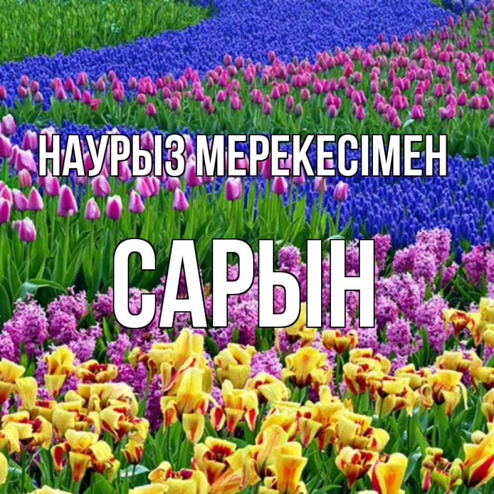 Күн сайын ашық хат с именем, САРЫН Наурыз мерекесімен цветы Онлайн тегін жүктеп алу тілектері бар керемет карта 