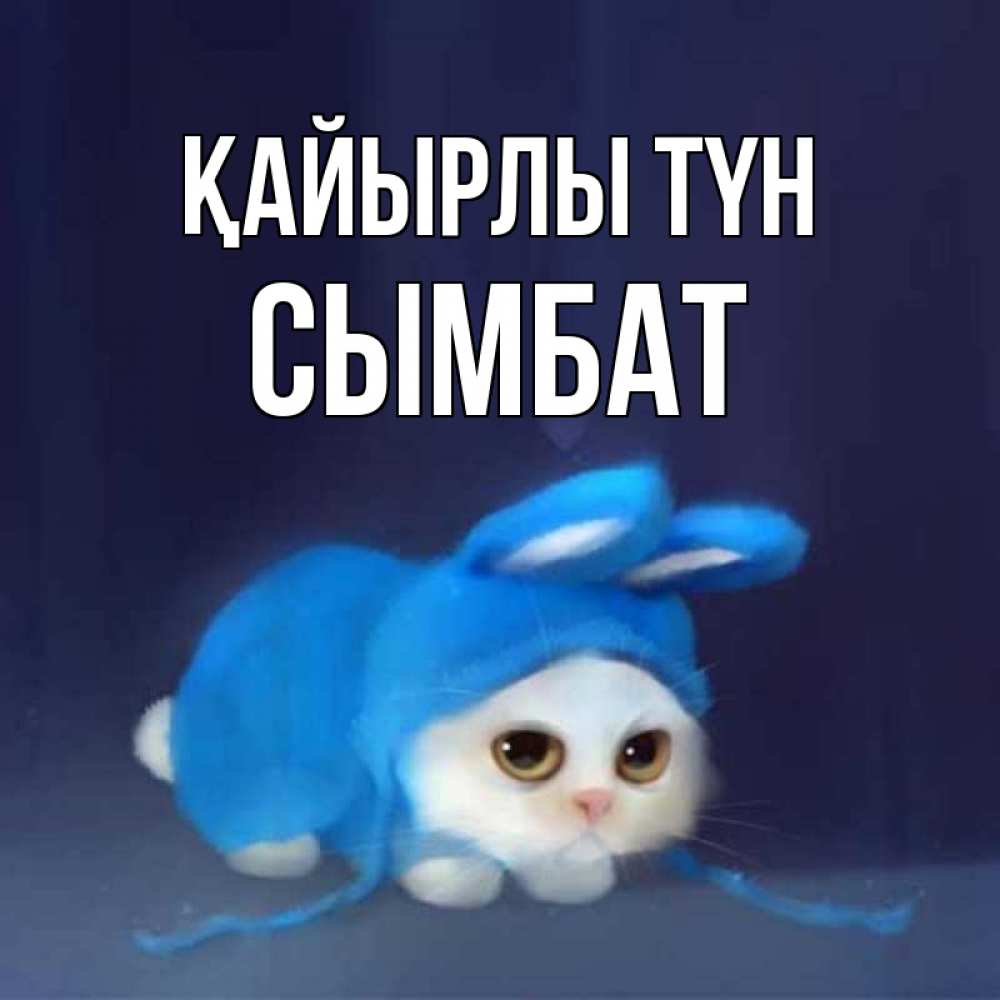 Күн сайын ашық хат с именем, СЫМБАТ Қайырлы түн кот в голубом костюме кролика с ушками Онлайн тегін жүктеп алу тілектері бар керемет карта 