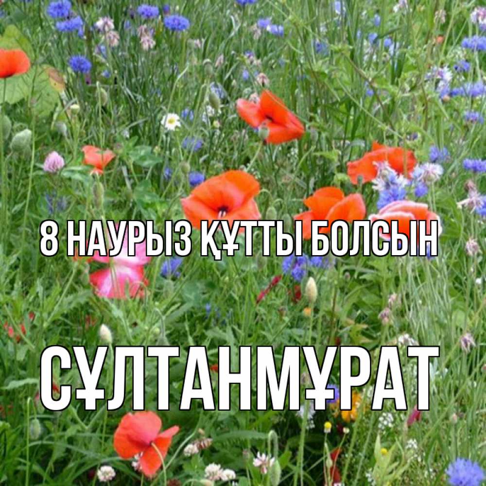 Күн сайын ашық хат с именем, СҰЛТАНМҰРАТ 8 наурыз құтты болсын международный женский день 4 Онлайн тегін жүктеп алу тілектері бар керемет карта 