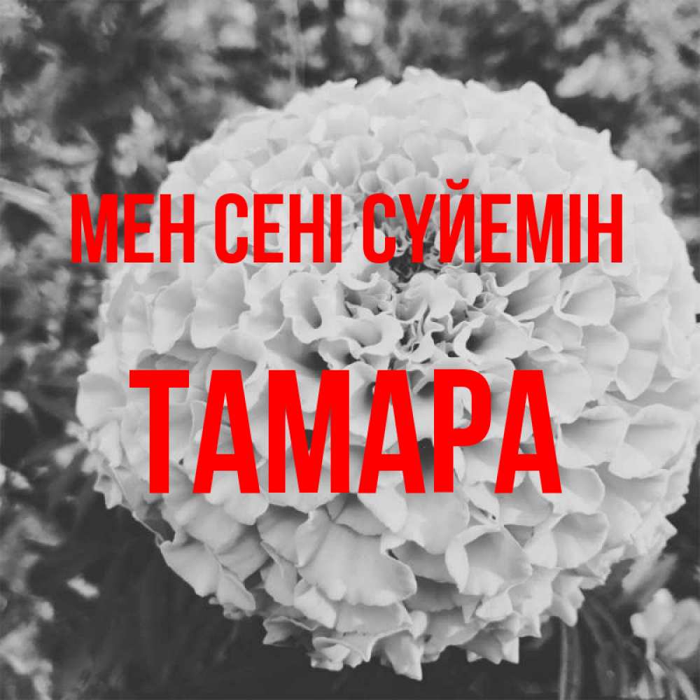 Күн сайын ашық хат с именем, ТАМАРА Мен сені сүйемін подпись Онлайн тегін жүктеп алу тілектері бар керемет карта 
