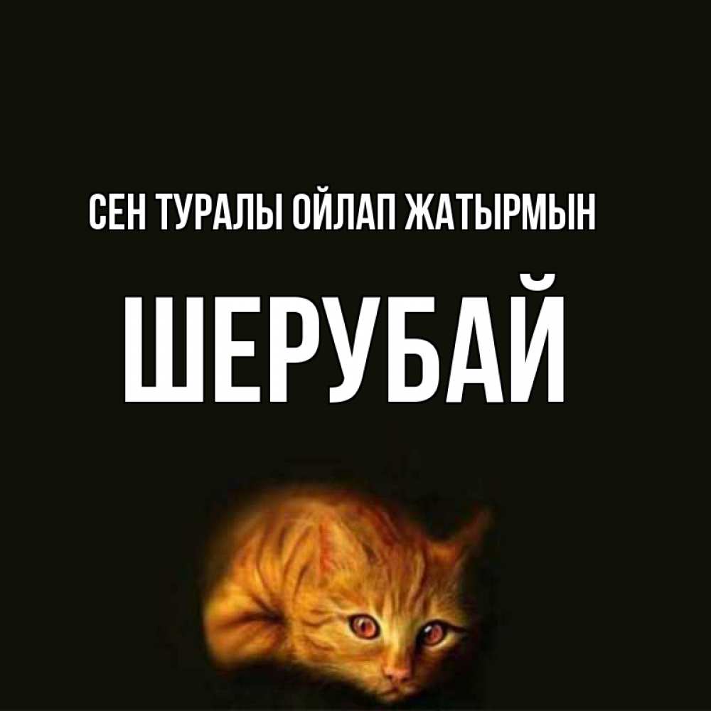 Күн сайын ашық хат с именем, ШЕРУБАЙ Сен туралы ойлап жатырмын рыжий Онлайн тегін жүктеп алу тілектері бар керемет карта 