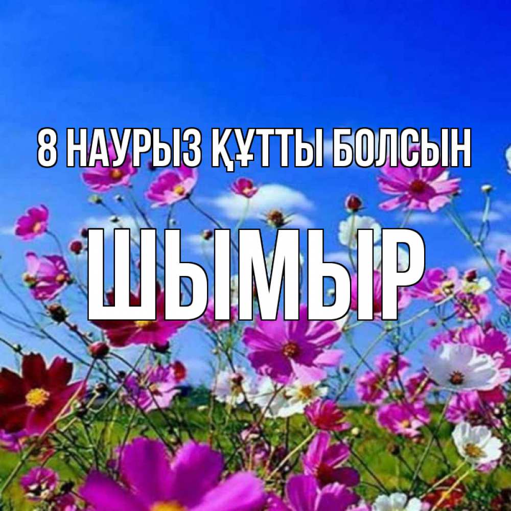 Күн сайын ашық хат с именем, ШЫМЫР 8 наурыз құтты болсын цветы Онлайн тегін жүктеп алу тілектері бар керемет карта 