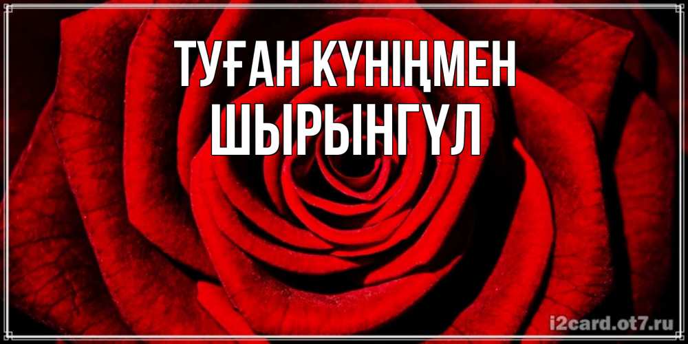 Күн сайын ашық хат с именем, ШЫРЫНГҮЛ Туған күніңмен алая роза Онлайн тегін жүктеп алу тілектері бар керемет карта 