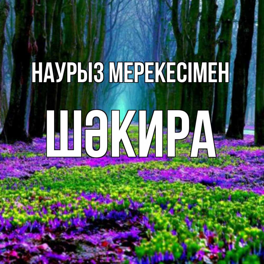 Күн сайын ашық хат с именем, ШӘКИРА Наурыз мерекесімен фиолетовые цветы в лесу 1 Онлайн тегін жүктеп алу тілектері бар керемет карта 
