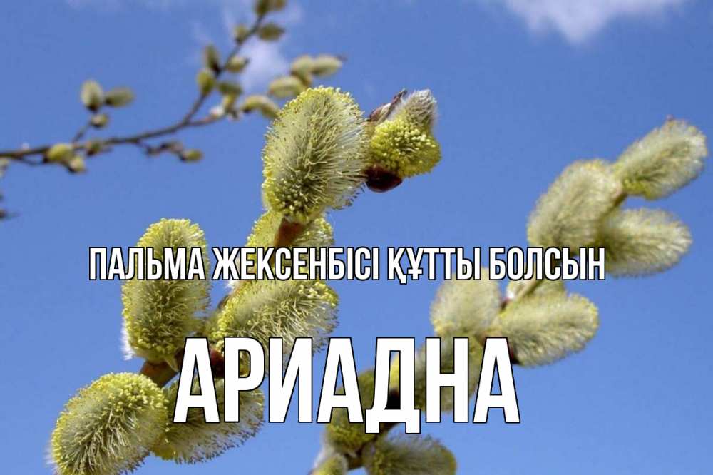 Күн сайын ашық хат с именем, Ариадна Пальма жексенбісі құтты болсын верба Онлайн тегін жүктеп алу тілектері бар керемет карта 