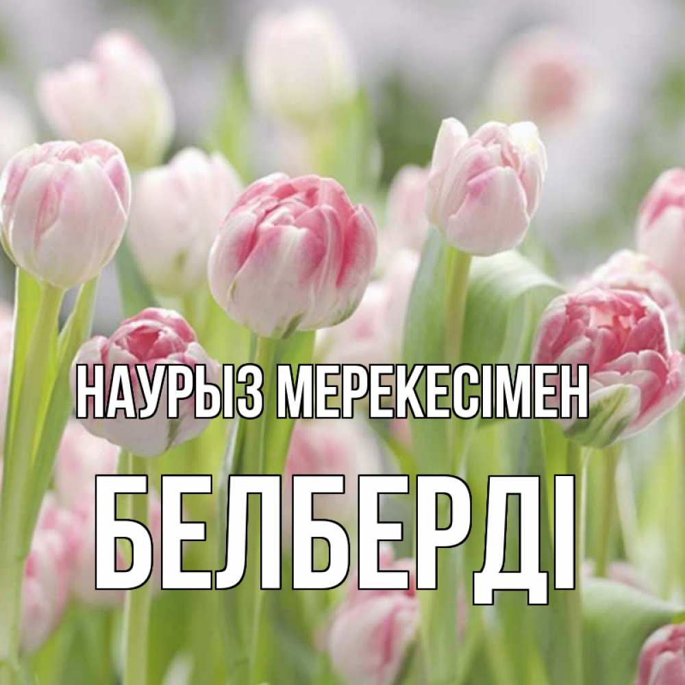 Күн сайын ашық хат с именем, Белберді Наурыз мерекесімен цветы Онлайн тегін жүктеп алу тілектері бар керемет карта 