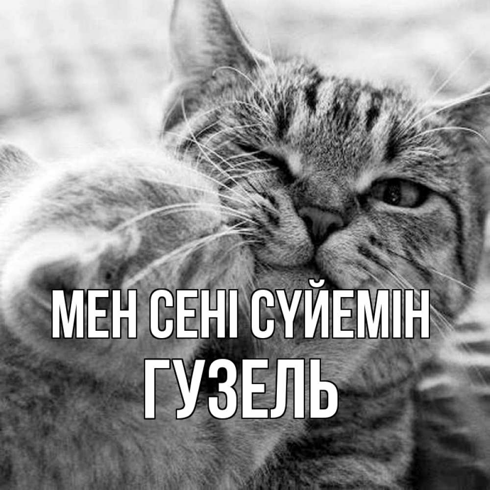 Күн сайын ашық хат с именем, Гузель Мен сені сүйемін коты Онлайн тегін жүктеп алу тілектері бар керемет карта 