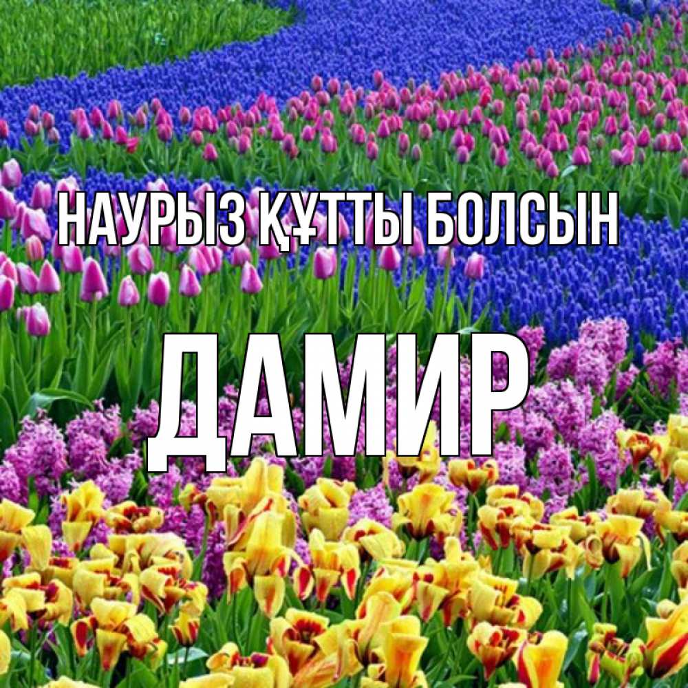 Күн сайын ашық хат с именем, Дамир Наурыз құтты болсын цветы Онлайн тегін жүктеп алу тілектері бар керемет карта 