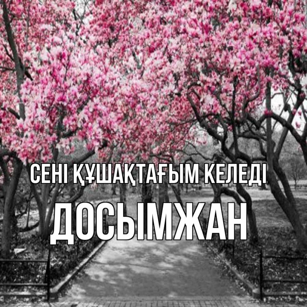 Күн сайын ашық хат с именем, Досымжан сені құшақтағым келеді обработанное фото Онлайн тегін жүктеп алу тілектері бар керемет карта 