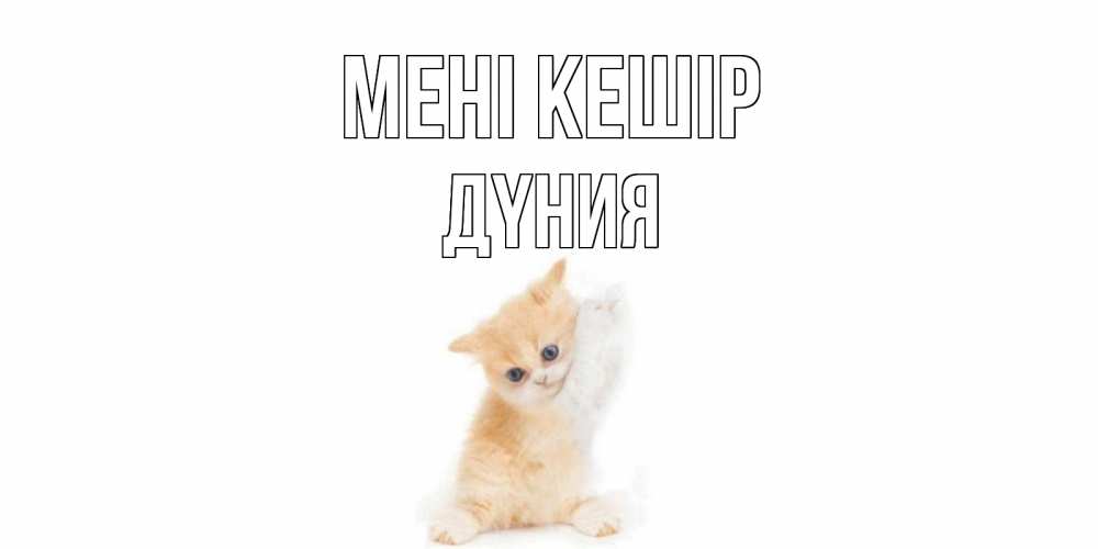 Күн сайын ашық хат с именем, ДҮНИЯ Мені кешір кот Онлайн тегін жүктеп алу тілектері бар керемет карта 