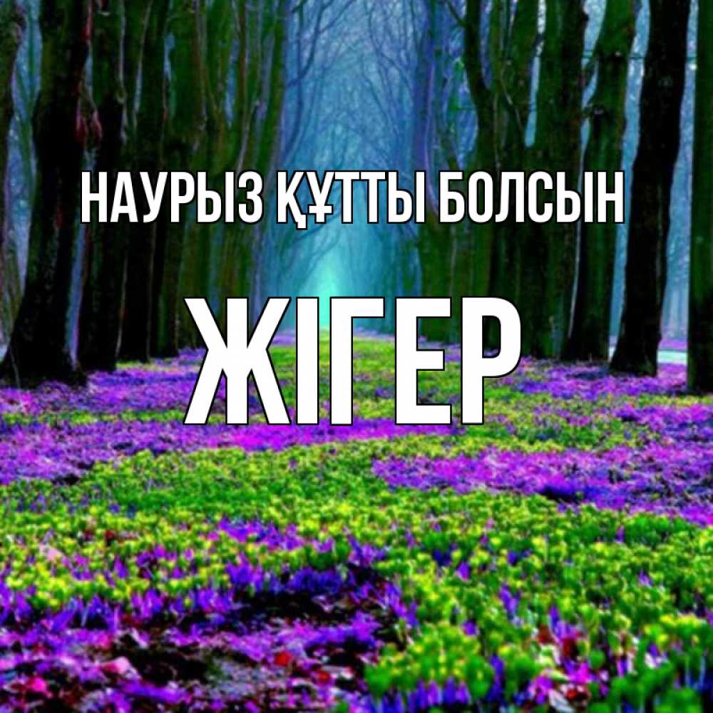 Күн сайын ашық хат с именем, Жігер Наурыз құтты болсын фиолетовые цветы в лесу 1 Онлайн тегін жүктеп алу тілектері бар керемет карта 