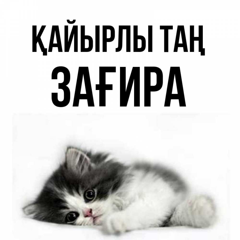 Күн сайын ашық хат с именем, ЗАҒИРА Қайырлы таң кот лапки Онлайн тегін жүктеп алу тілектері бар керемет карта 