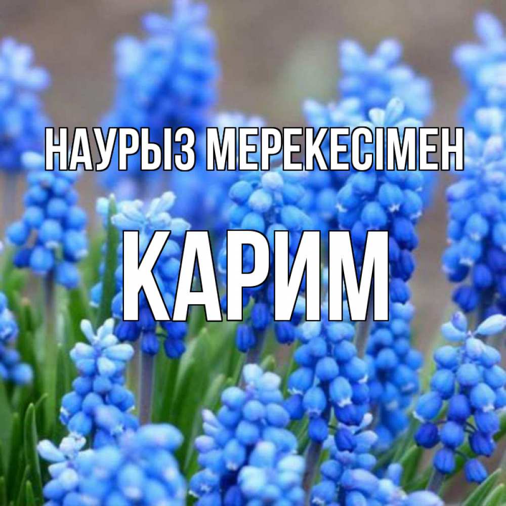 Күн сайын ашық хат с именем, Карим Наурыз мерекесімен Поздравительная открытка для женщин с цветами на праздничную дату Онлайн тегін жүктеп алу тілектері бар керемет карта 