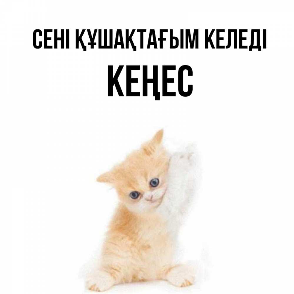 Күн сайын ашық хат с именем, Кеңес сені құшақтағым келеді я хочу очень скорее обнимаешек Онлайн тегін жүктеп алу тілектері бар керемет карта 