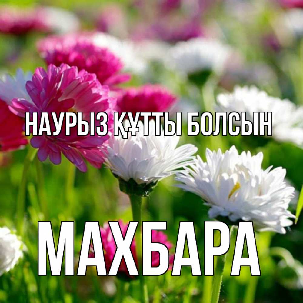 Күн сайын ашық хат с именем, МАХБАРА Наурыз құтты болсын наурыз Онлайн тегін жүктеп алу тілектері бар керемет карта 